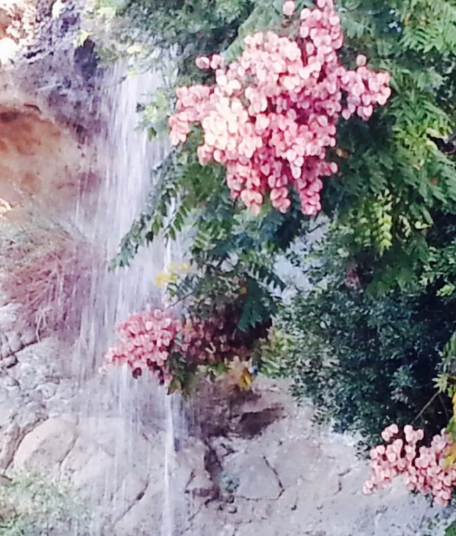 dana-point-waterfall-by-southocbeaches-com