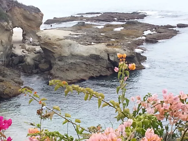Treasure Island Laguna Beach by www.southocbeaches.com