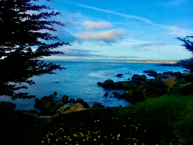 California Beaches Courtesy of SouthOCBeaches.com