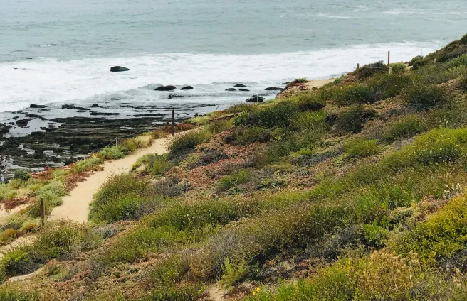 Crystal Cove Courtesy of SouthOCBeaches.com