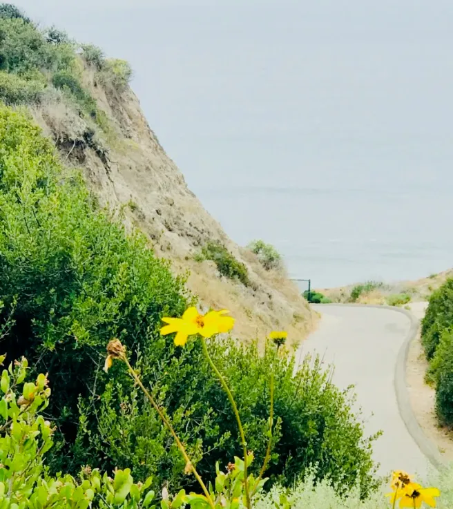San Clemente beaches Courtesy of SouthOCBeaches.com
