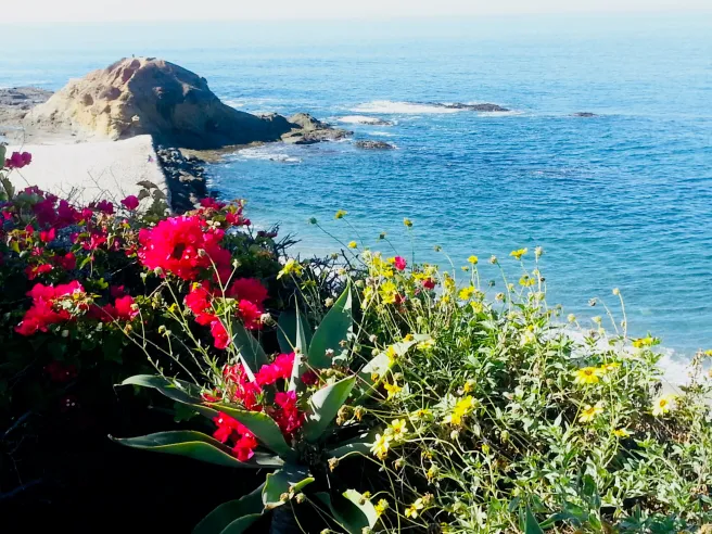 Laguna Beach Courtesy of SouthOCBeaches.com