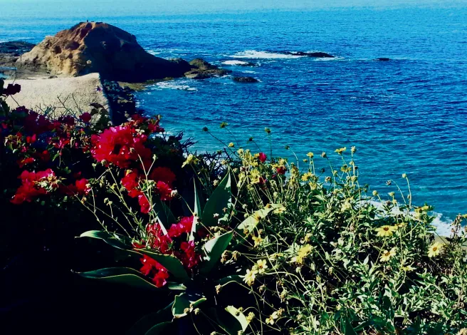 Laguna Beach Courtesy of SouthOCBeaches.com
