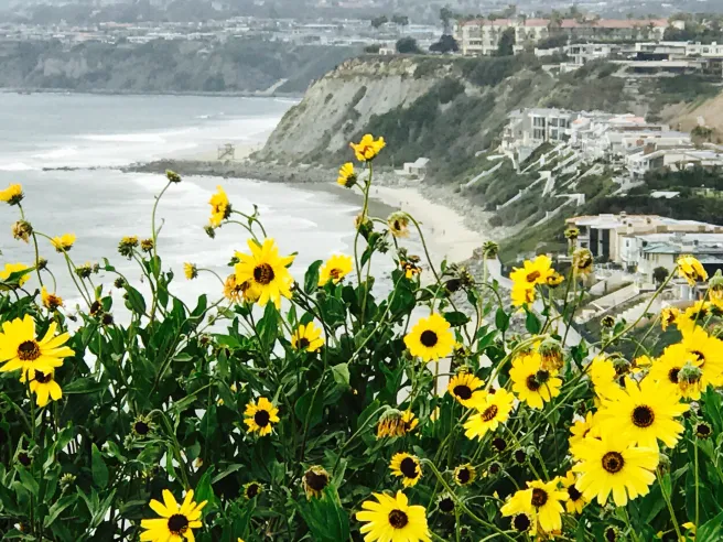 Dana Point by SouthOCBeaches.com