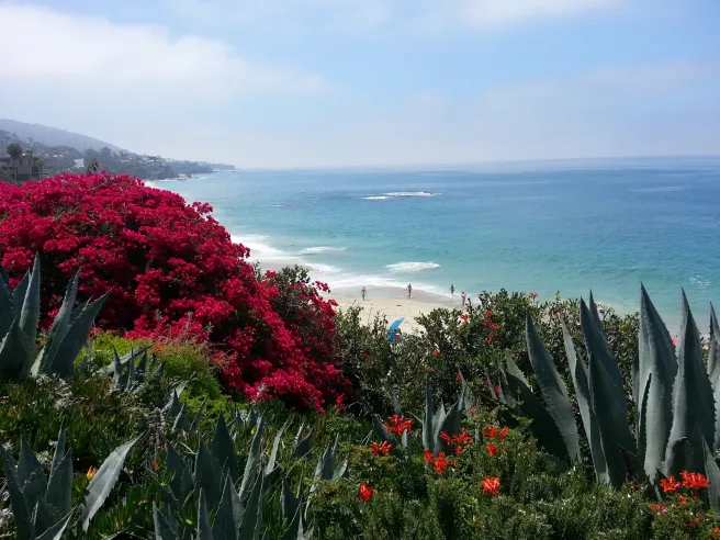 Laguna Coast by southocbeaches.com