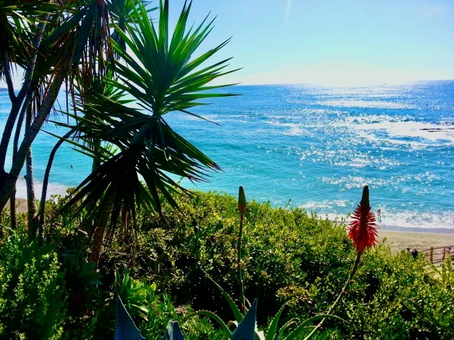 Laguna Beach Courtesy of SouthOCBeaches.com