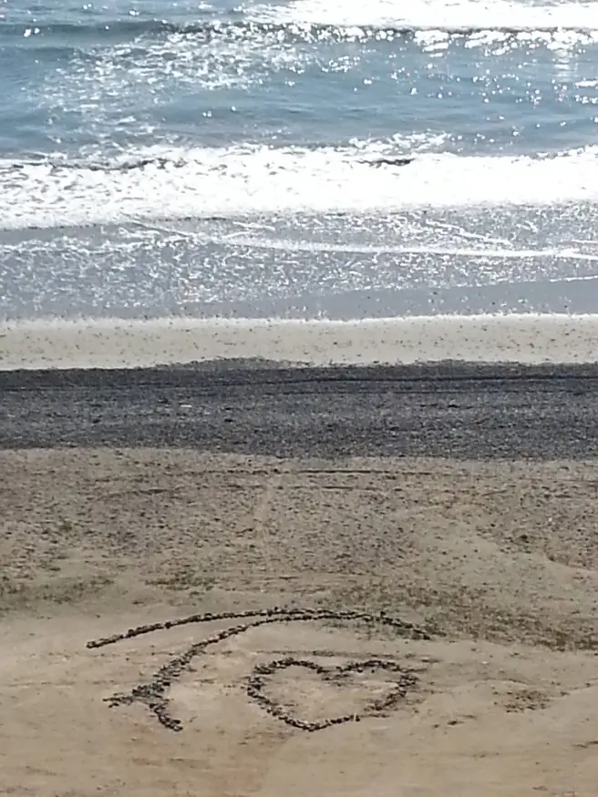 i love the California Beaches by southocbeaches.com